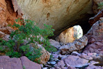 photo thumbnail #15