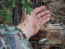 photo thumbnail #5
