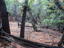 photo thumbnail #10