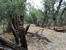 photo thumbnail #11