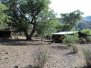 photo thumbnail #14