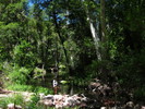 photo thumbnail #1