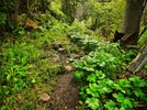 photo thumbnail #6