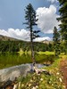 photo thumbnail #13