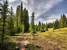 photo thumbnail #10
