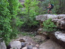 photo thumbnail #2