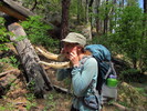 photo thumbnail #3