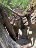 photo thumbnail #7