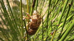 photo thumbnail #12
