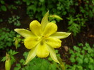 photo thumbnail #3