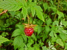 photo thumbnail #6