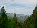 photo thumbnail #7