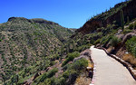 photo thumbnail #4