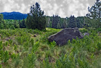 photo thumbnail #4