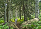 photo thumbnail #10