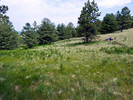 photo thumbnail #15