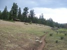 photo thumbnail #7