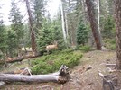 photo thumbnail #8