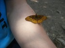 photo thumbnail #9