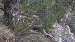 photo thumbnail #13