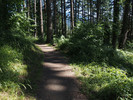 photo thumbnail #2