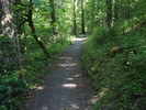 photo thumbnail #5