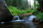 photo thumbnail #9