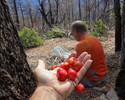 photo thumbnail #2