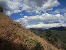 photo thumbnail #12