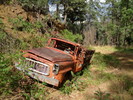 photo thumbnail #13