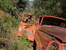 photo thumbnail #14