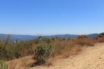 photo thumbnail #13