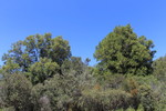 photo thumbnail #15