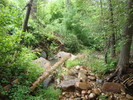 photo thumbnail #6