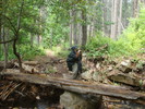 photo thumbnail #7
