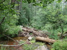 photo thumbnail #15