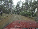 photo thumbnail #10