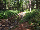 photo thumbnail #2