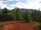 photo thumbnail #5