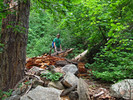 photo thumbnail #13