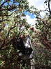 photo thumbnail #12