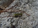 photo thumbnail #2
