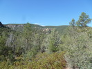 photo thumbnail #11