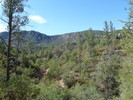 photo thumbnail #14