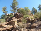 photo thumbnail #15