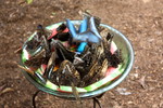 photo thumbnail #9