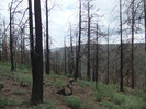 photo thumbnail #7