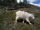 photo thumbnail #3