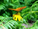 photo thumbnail #13