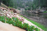photo thumbnail #9
